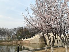 -月湖风景区