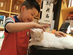 -新月集庭院咖啡馆(老邮局店)