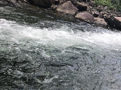 -安吉龙王山峡谷漂流