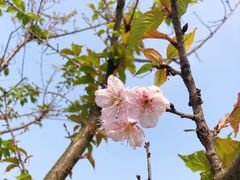-苏州上方山国家森林公园