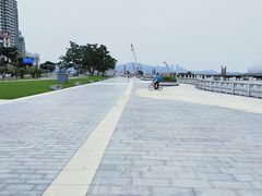 -野狸岛