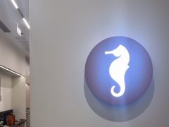 -海马体大师店(广州天汇广场IGC大师店)