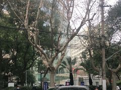 -复旦大学附属华山医院(总院)