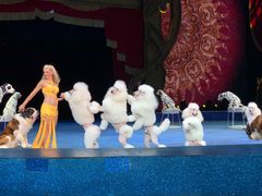 -珠海横琴长隆《卡卡虎奇遇记》