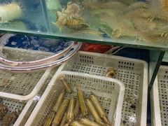 -福润海鲜馆