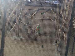 -石家庄市动物园