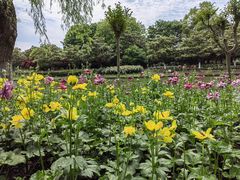 -上海鲜花港