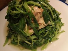 腐皮鸡毛菜-吴莊(龙城万科里店)