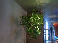 -唐宫足道·SPA·住宿24H会所(木渎店)