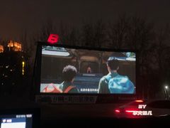 -枫花园汽车电影院(朝阳公园店)
