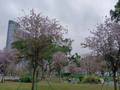 -洲头咀公园