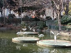 -赭山公园