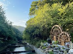 -广州白江湖森林公园