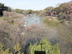 -惠山国家森林公园