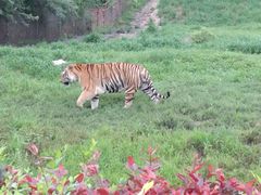 -沈阳森林动物园