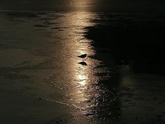 -世纪钟