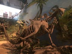 -自贡恐龙博物馆