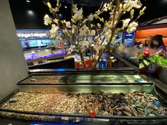 海鲜-海吃海喝海鲜烤肉炭火主题自助餐(朝阳店)