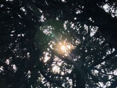 -汇龙潭