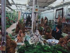 -长宁东道花卉宠物市场