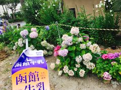 -金森红砖仓库