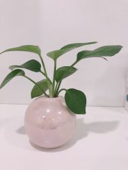 -郡艺医疗美容·微整·眼鼻吸脂