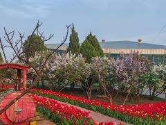 -石家庄市植物园