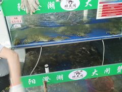 -阳澄湖大闸蟹·琼灵阁牌品牌连锁(吴中总店)