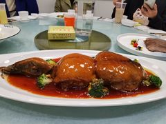 -丁老爷子苏香圆