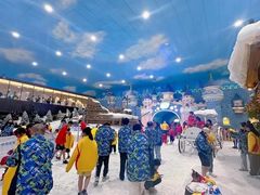 -世界之窗阿尔卑斯冰雪世界