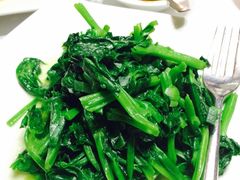 豆苗-欣叶食艺轩