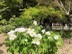 -江南大学(蠡湖校区)