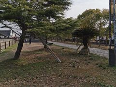 -松声马术俱乐部