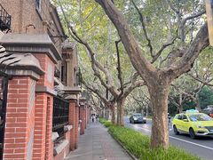 -一尺花园(安和花园店)