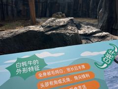 -武汉动物园
