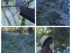 -西湖外事游船(花港观鱼码头)