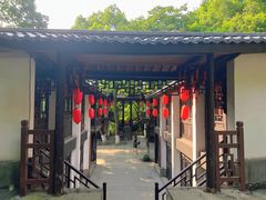 -杭州黄龙洞