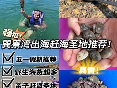 -巽寮湾