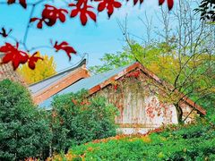 -西安汉城湖景区