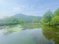 -八卦田遗址公园