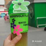 柠季新品 | 答应我一定要试一下