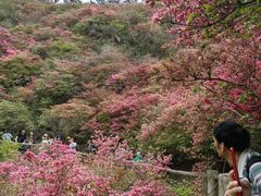 -木兰云雾山