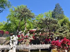 -红螺寺
