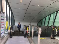 -杨柳河(地铁站)