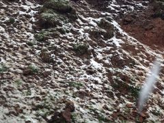 -德禄酸奶(莫家街店)