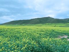 -扁都口生态休闲旅游区