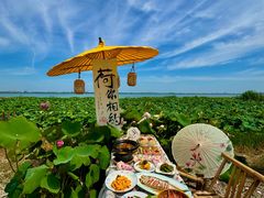 -七的湖·晚芳亭·阳澄湖农家菜·大闸蟹(莲花岛店)