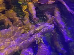 -波塞冬旅游度假区