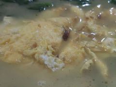 -东吴霸王兔(松青路店)