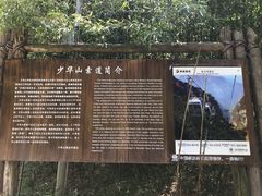-少华山国家森林公园